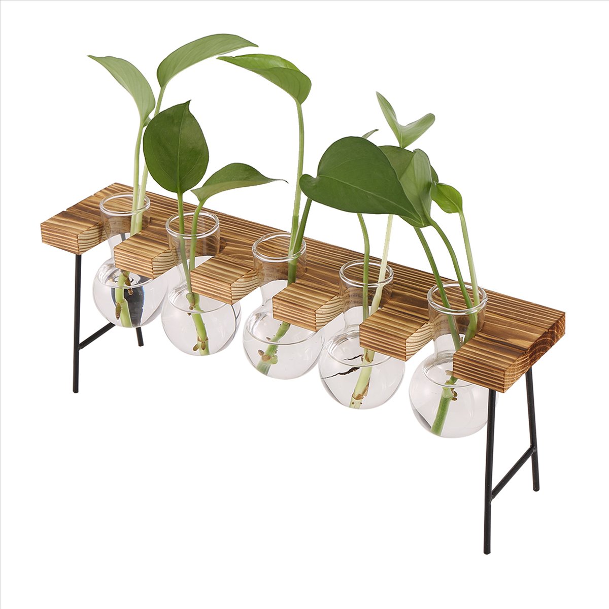 ABFS Propagation Stations Desk - đánh giá và giá Propagation Station Vase